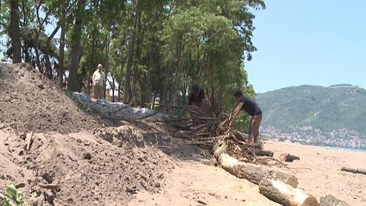 CHP'li Ordu Belediye Başkanı'ndan ağaç katlimı