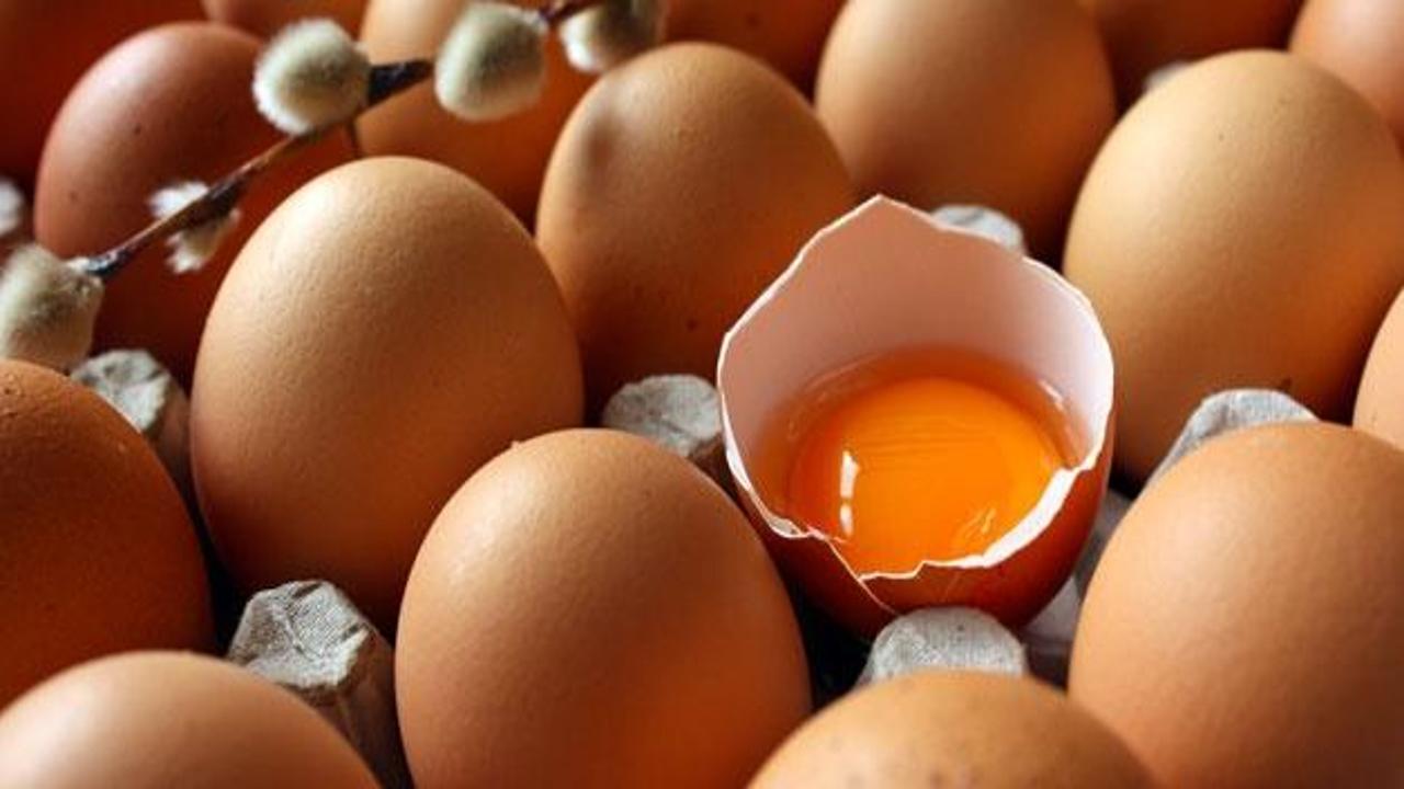 Taze yumurta nasıl anlaşılır?