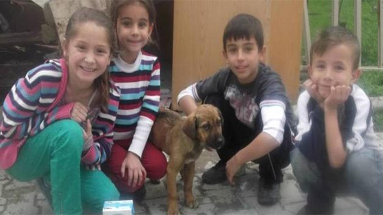Çocukların dayanışması sokak köpeğini kurtardı
