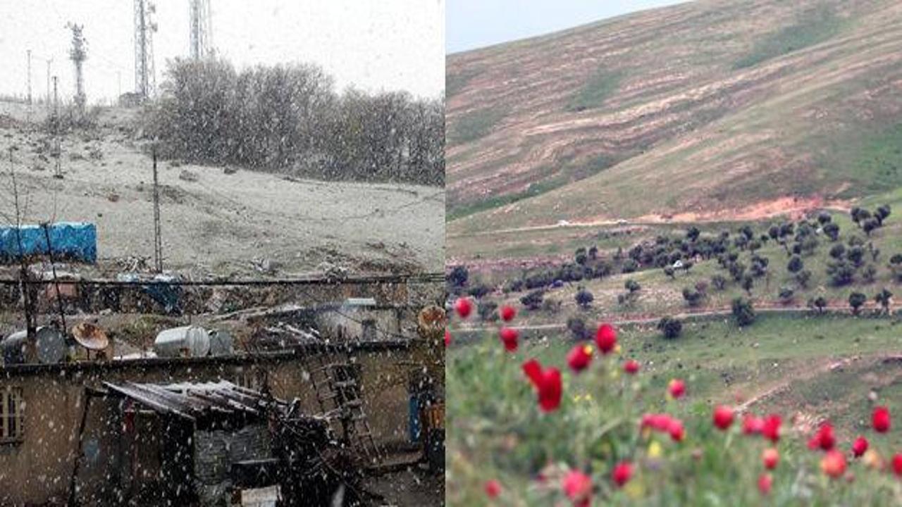 Cudi'nin bir yanı kar diğer yanı bahar!