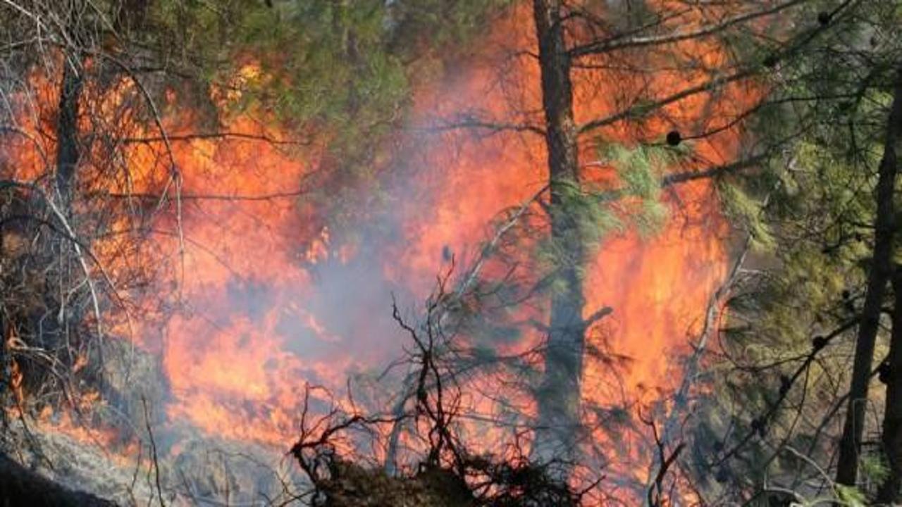 Lodos faciası: Orman yangını durdurulamıyor
