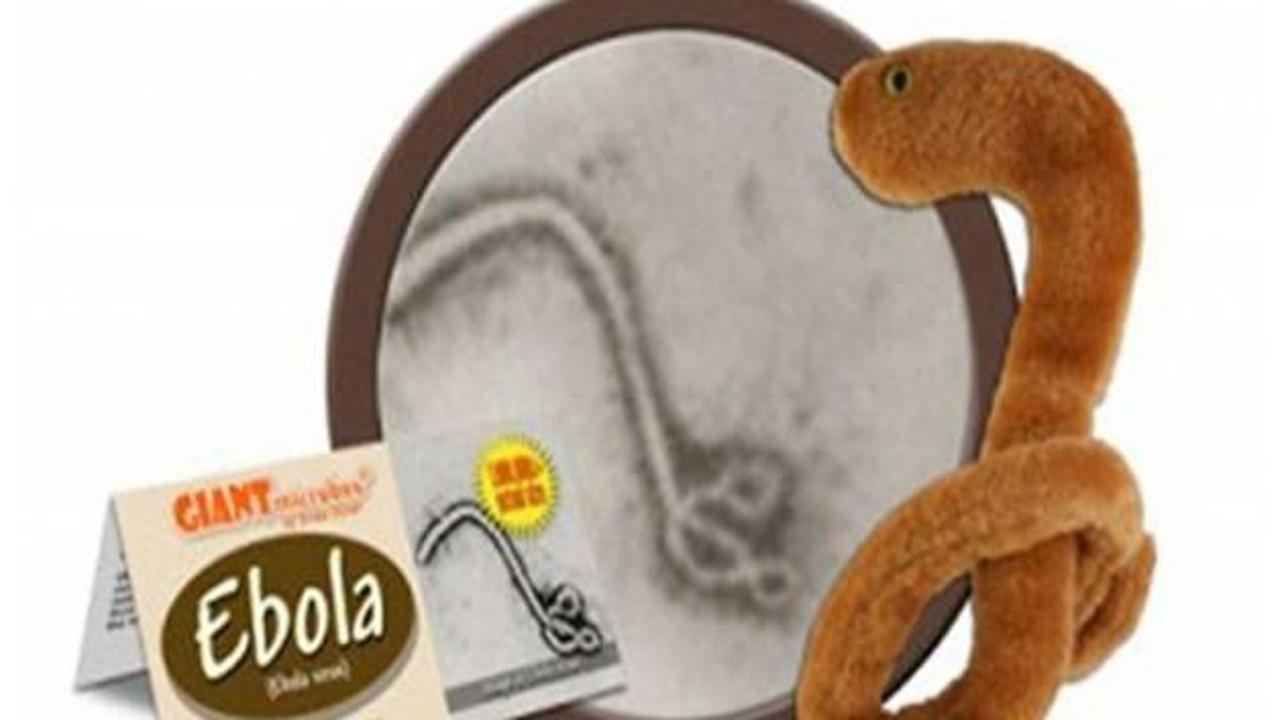 Ebola’nın oyuncağını yaptılar!