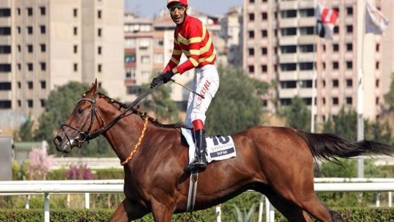 Efsane at Bold Pilot'ı kaybettik