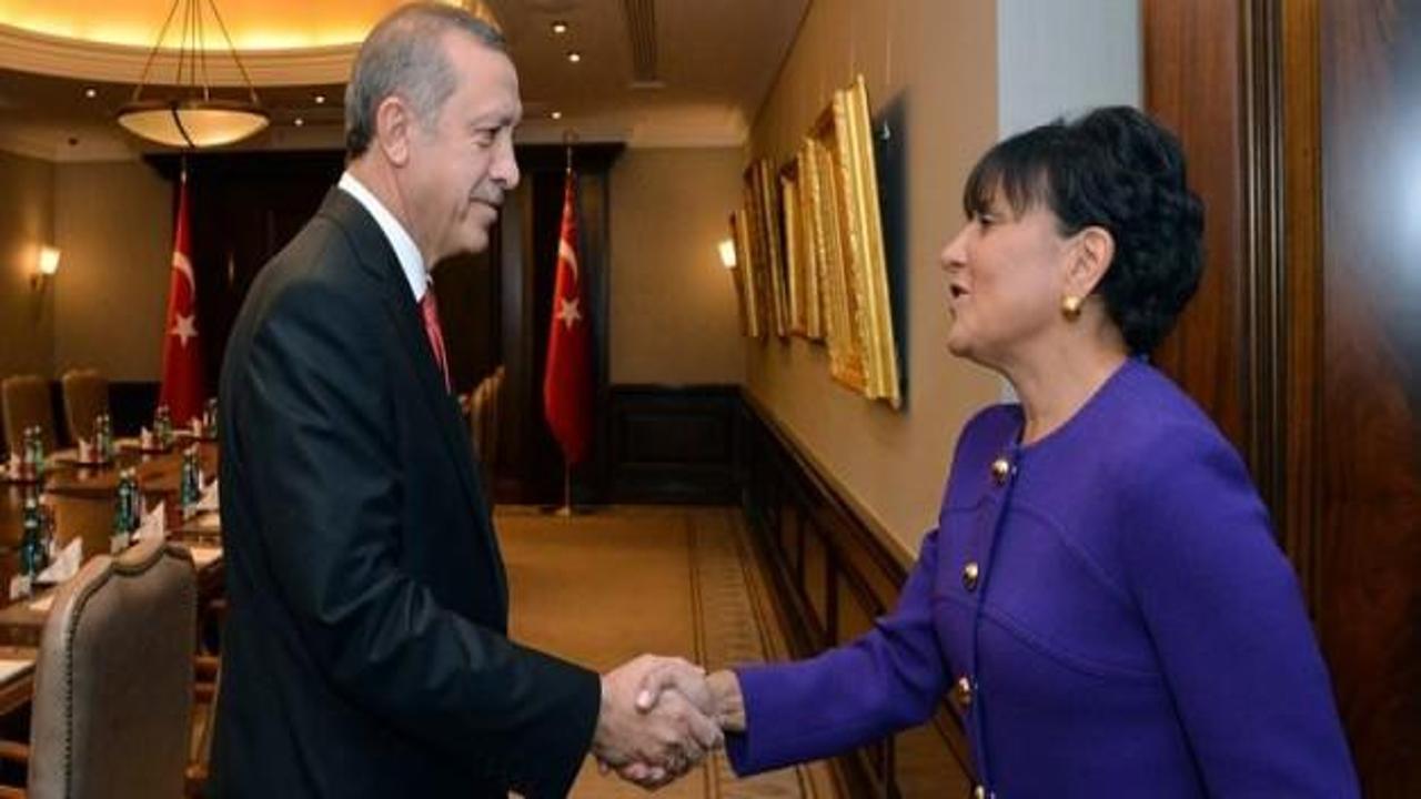 Erdoğan, Pritzker'i kabul etti