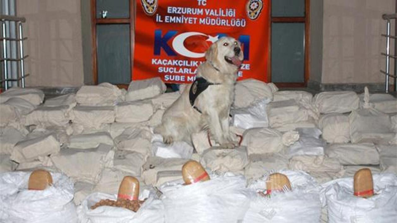 Erzurum'da tarihi uyuşturucu operasyonu!