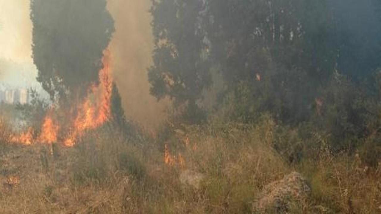 Eskihisar'da feribot seferlerini durduran yangın!