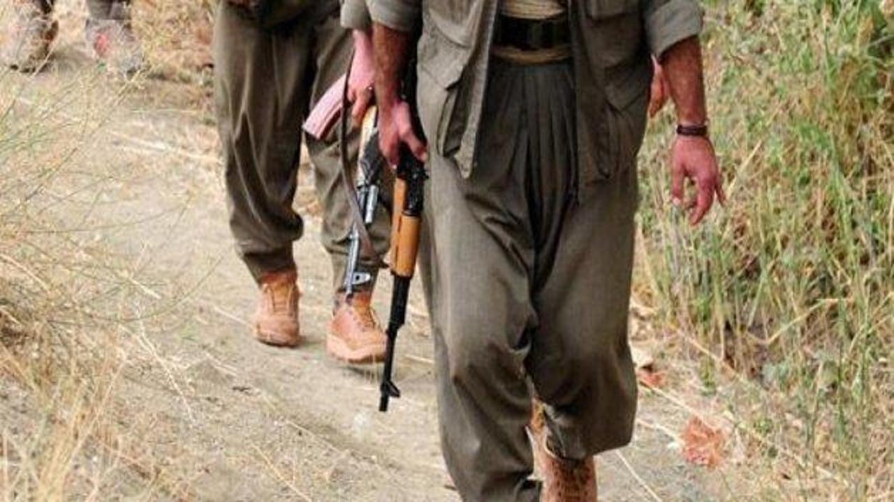 Almanya'dan flaş PKK kararı