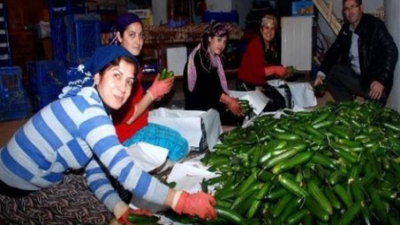 Fiyatı 2 lira 20 kuruştan 10 kuruşa düştü.