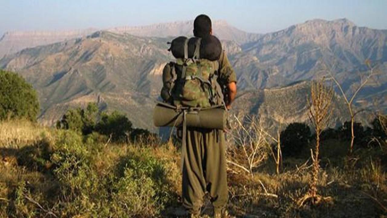 Bir PKK'lı teslim oldu