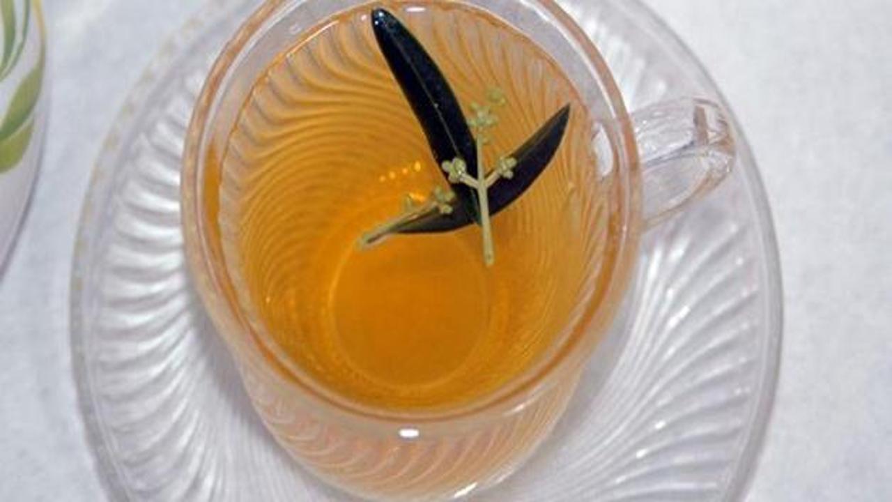 Gribe karşı zeytin yaprağı çayı önerisi
