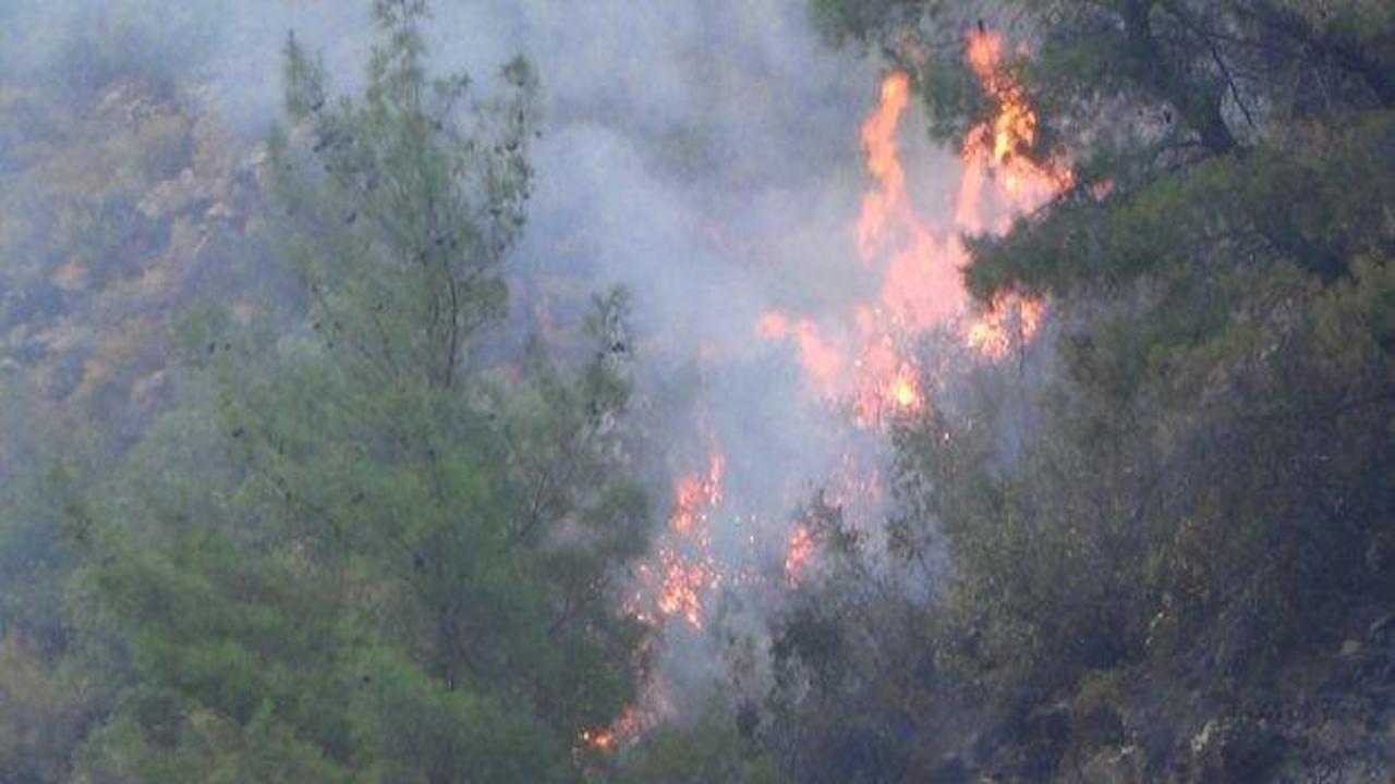Manavgat'ta 5 hektarlık ormanlık alan yandı