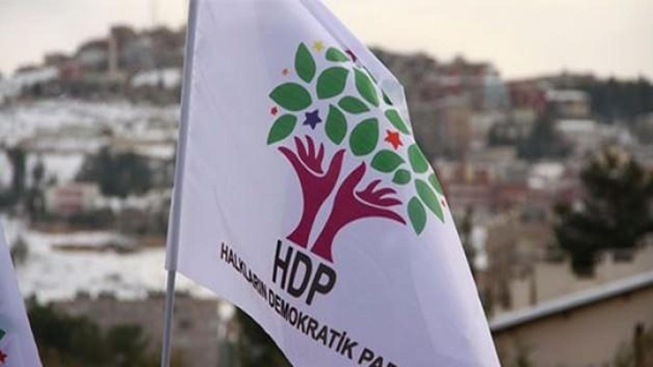 HDP'den adaylık için istifa ettiler