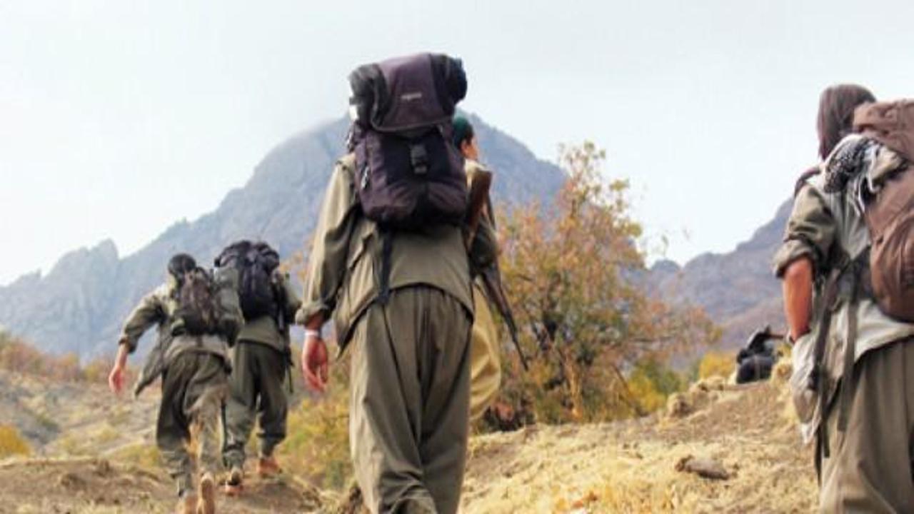 Yüksekova'da 2 PKK'lı teslim oldu