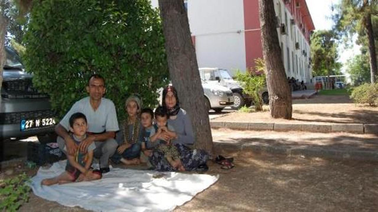 Hükümet konağı bahçesinde kalıyorlar