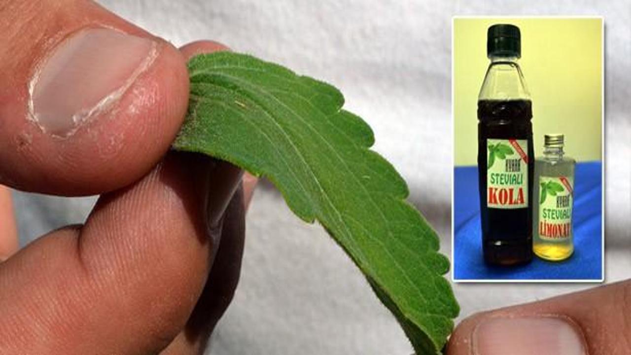İlk zararsız kola ve limonatayı ürettik