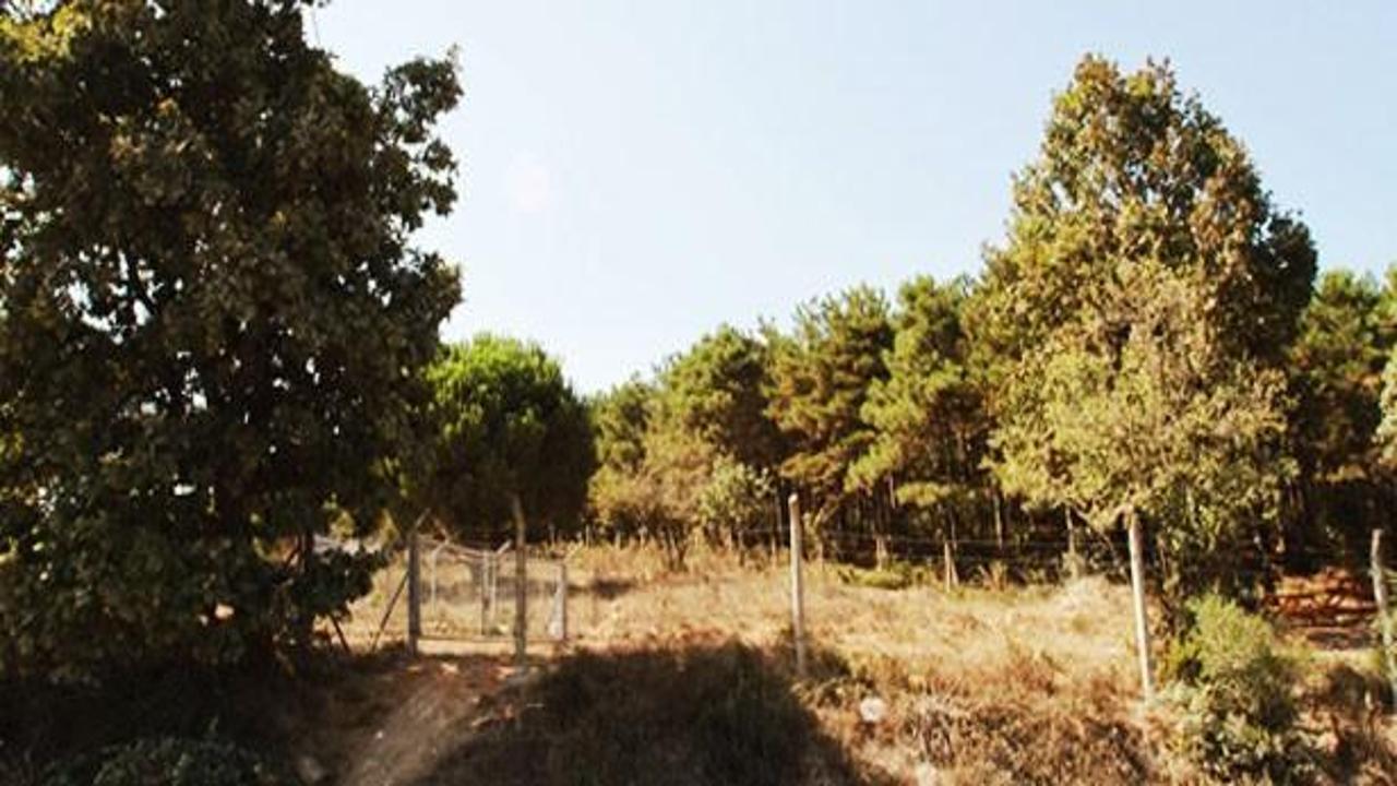 İş adamının 2B oyununu polis bozdu
