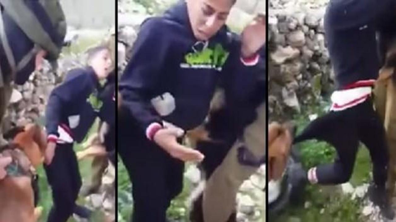 İsrail'in köpekli işkencesine tepki