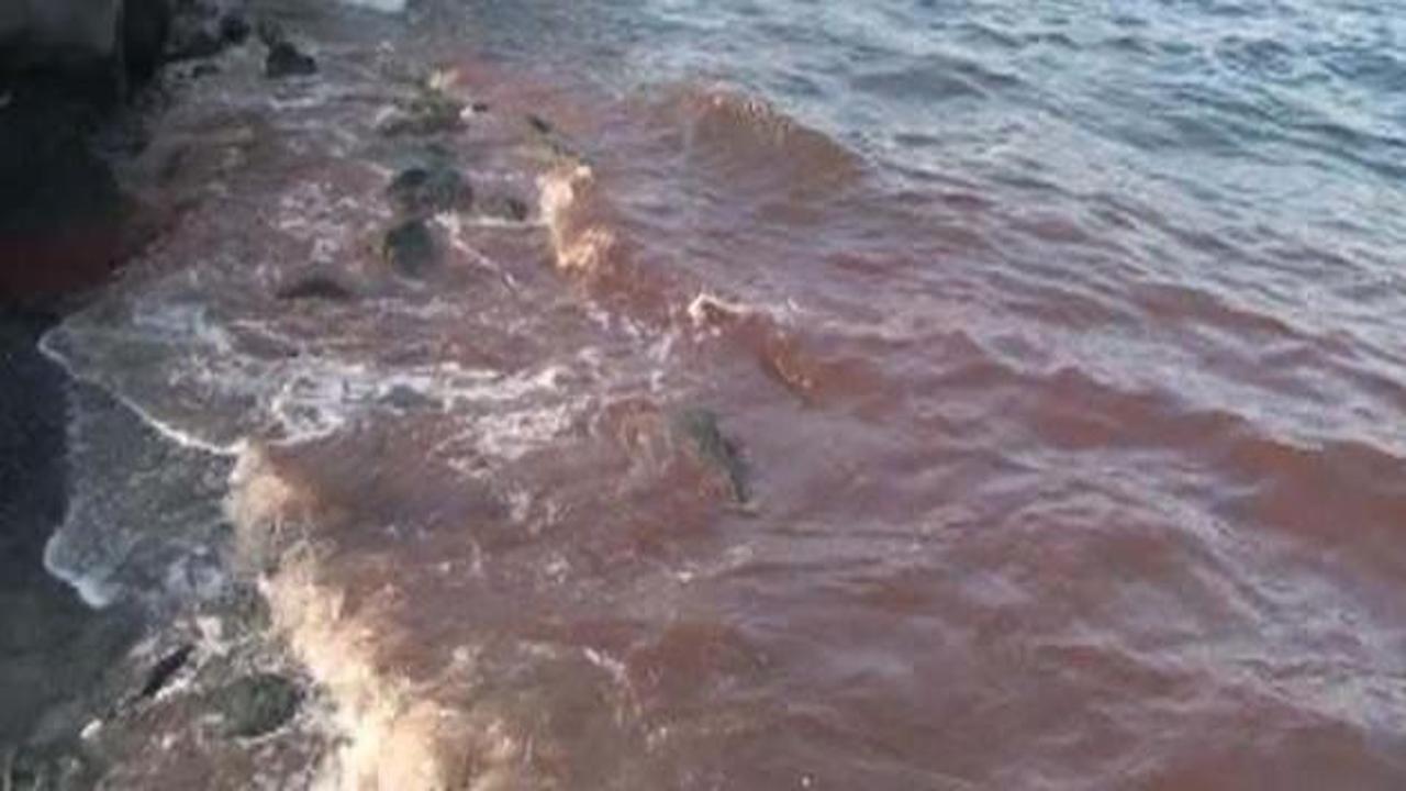 İstanbul Boğazı yine kan g&ouml;l&uuml;ne d&ouml;nd&uuml;