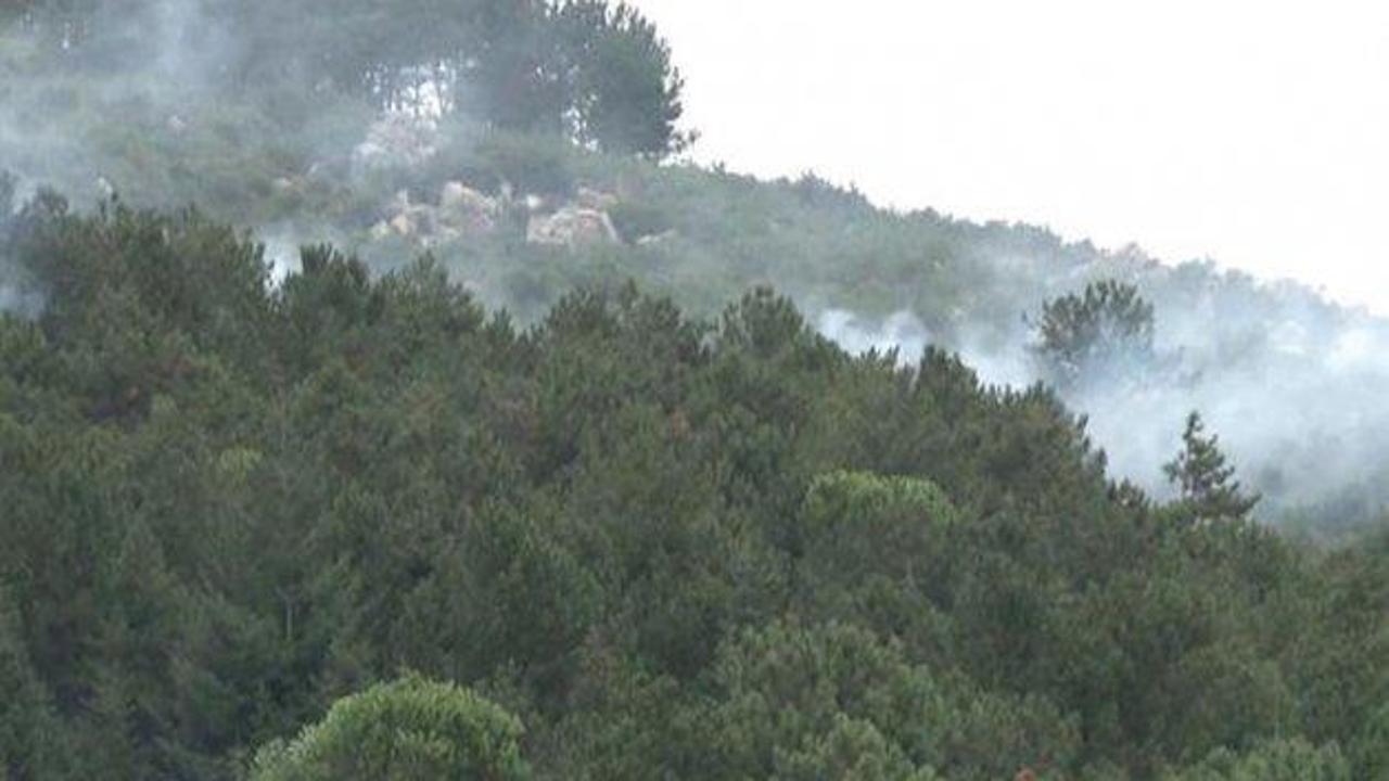 İstanbul'daki Aydos ormanında yangın
