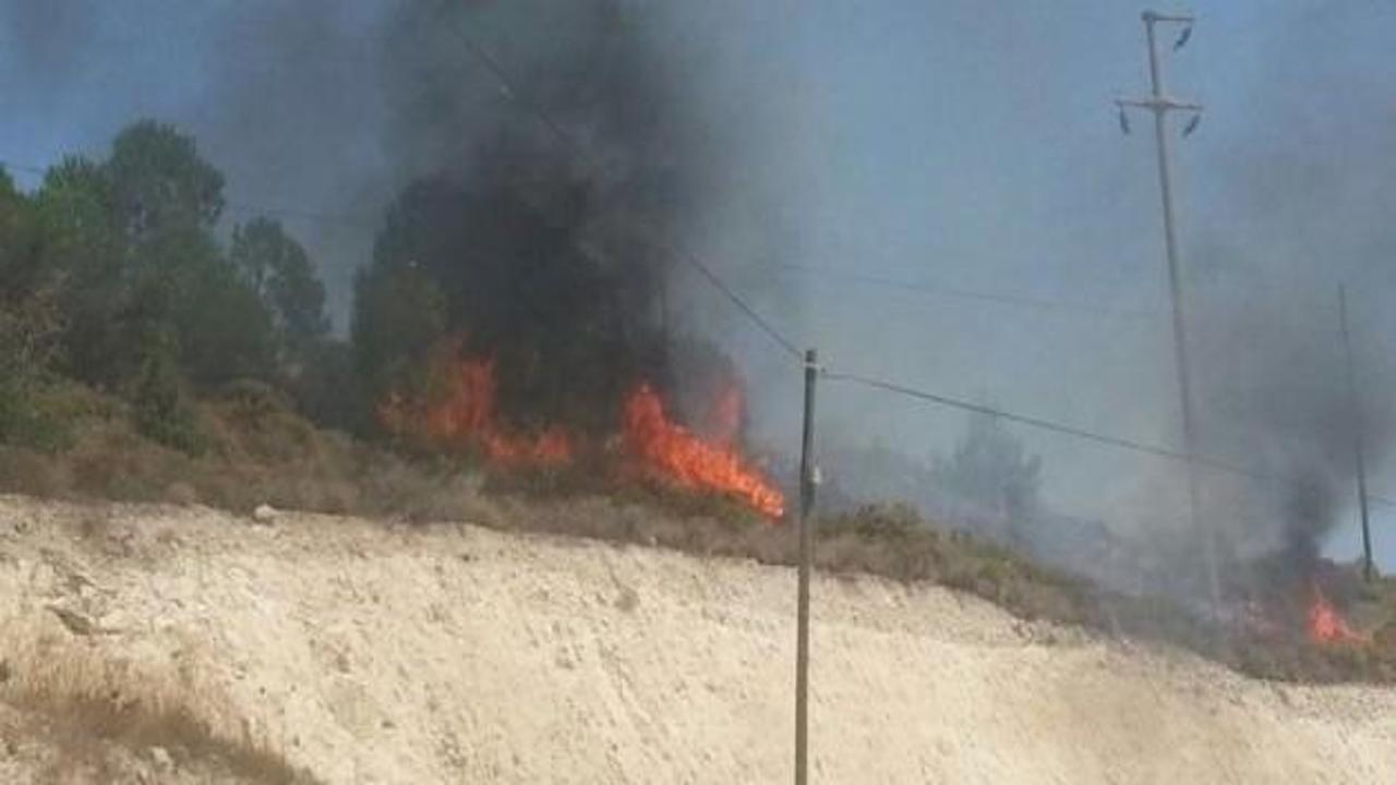 İzmir'de büyük orman yangını! 