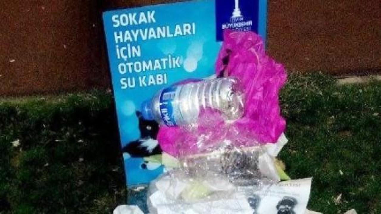 İzmir'de hayvan severleri çileden çıkaran görüntü