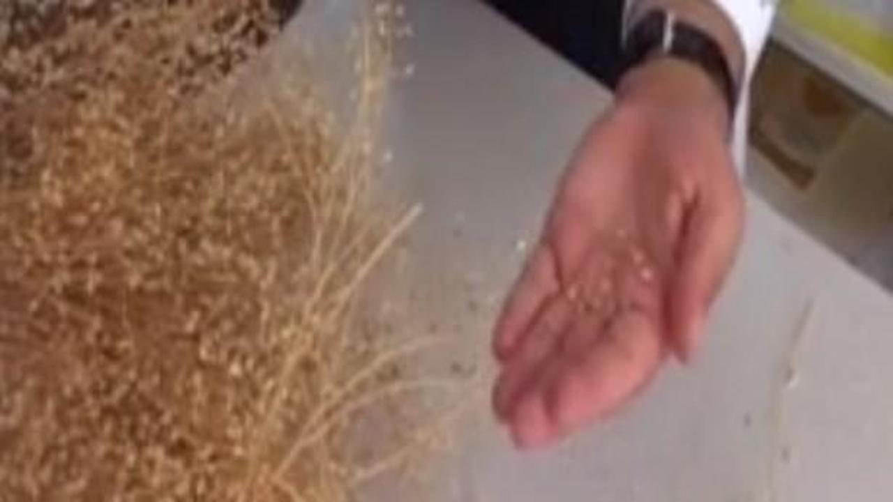 Jet yakıtı ham maddesi ilk &uuml;retimi başarılı oldu