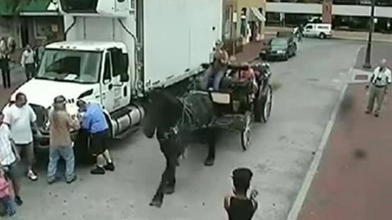 Kaçak at arabası ortalığı birbirine kattı