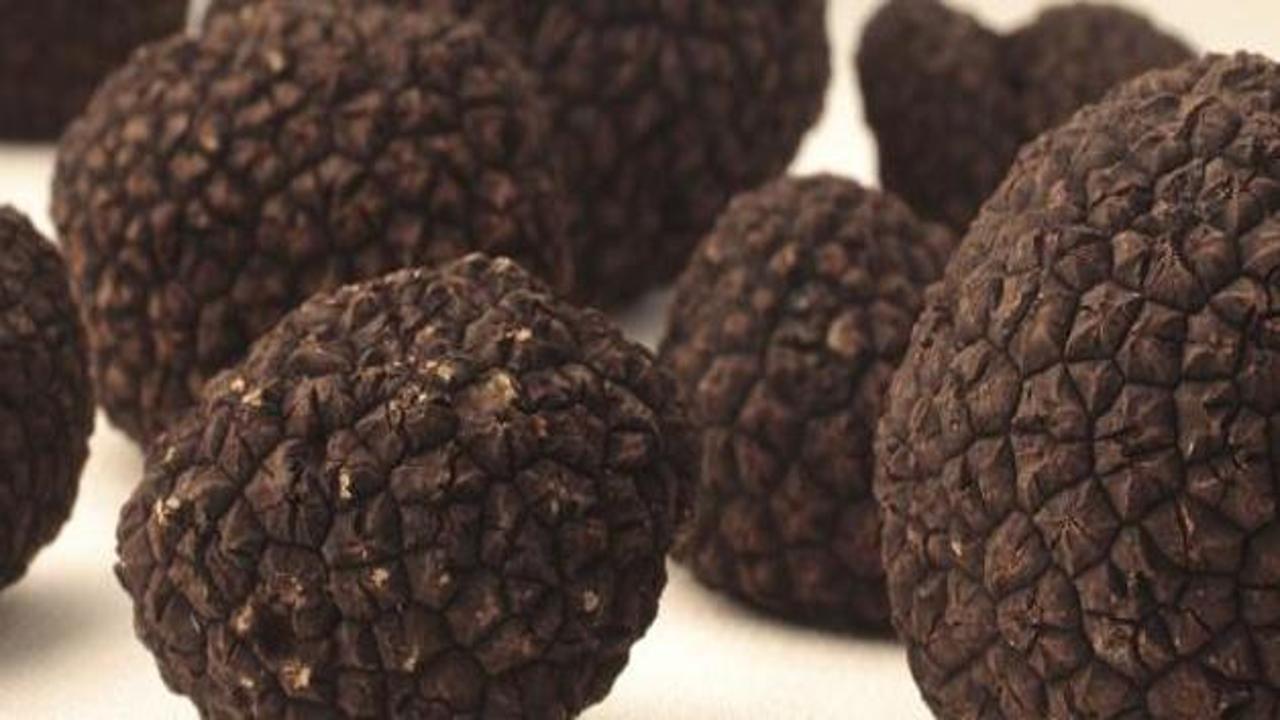 Kilosu 2 avroluk mantar i&ccedil;in eylem planı