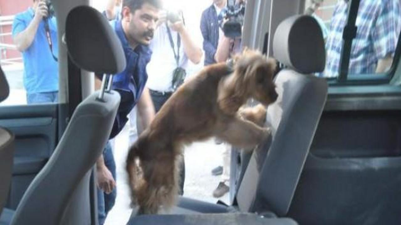 Kırıkkale'de 32 kilo eroin ele geçirildi