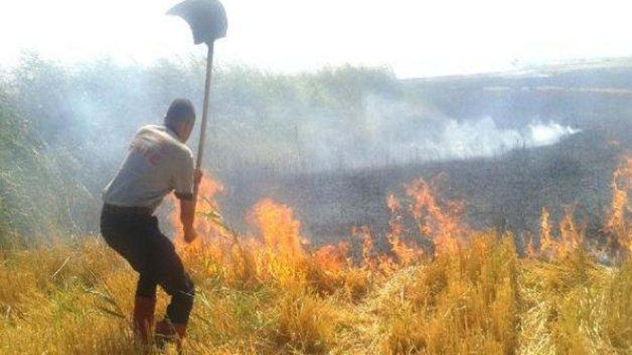 K.Maraş'ta 1 g&uuml;nde 23 anız yangını &ccedil;ıktı
