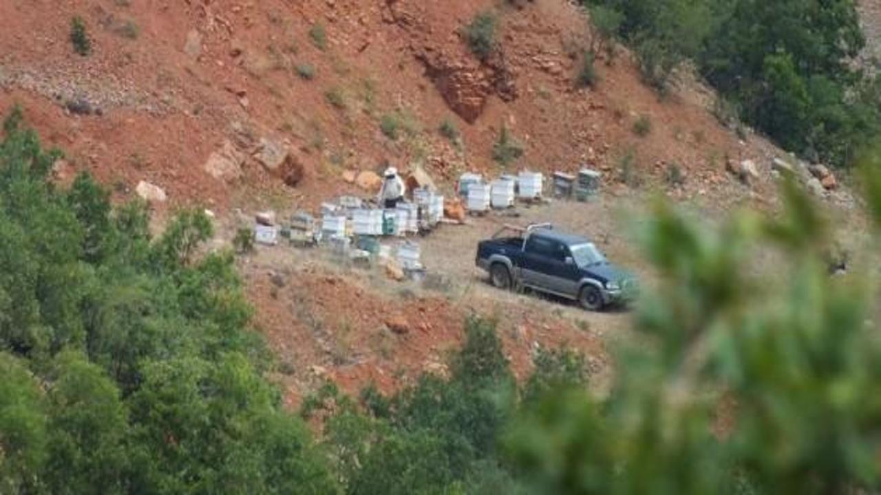 Konya'da arı saldırısı: 13 yaralı