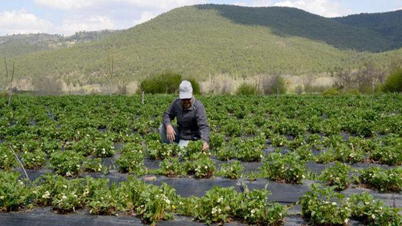 Konya'da çiftçiye 4 milyonluk destek