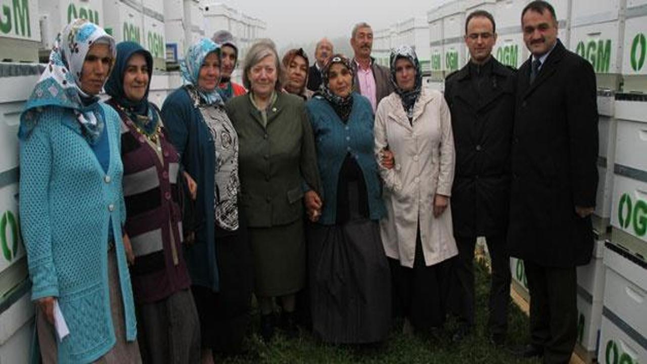 Köy kadınları kestane balı üretecek