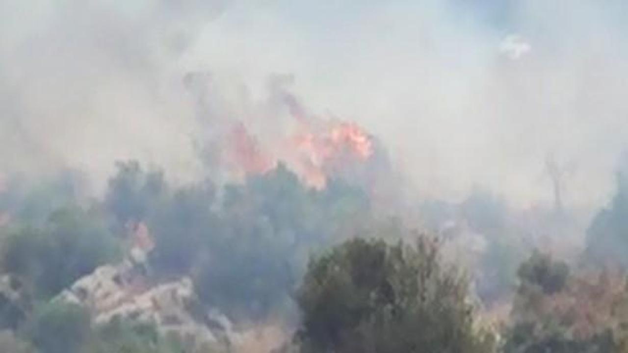 Kozan'da 6 hektarlık alan yandı