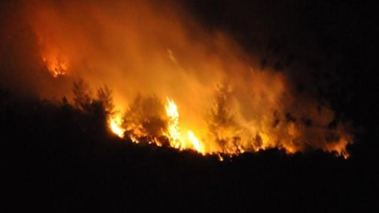 Kozan'da orman yangını