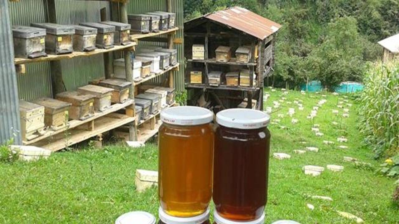 Kraliçe arı anne- kızın geçim kaynağı oldu