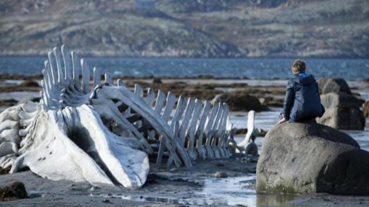 Leviathan 16 Ocak'ta vizyona girecek