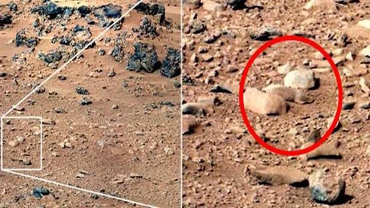 Mars'ta ‘fare' bulundu iddiası!