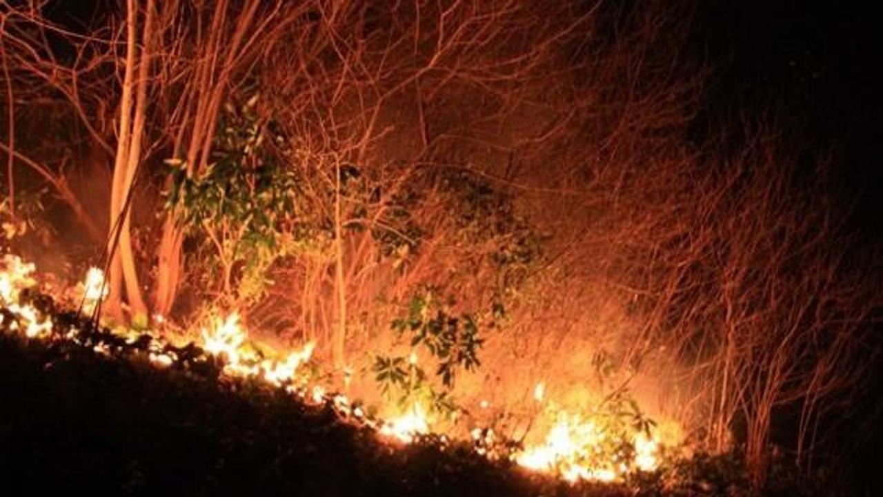 Şimdi de Antalya'nın ormanları yanıyor