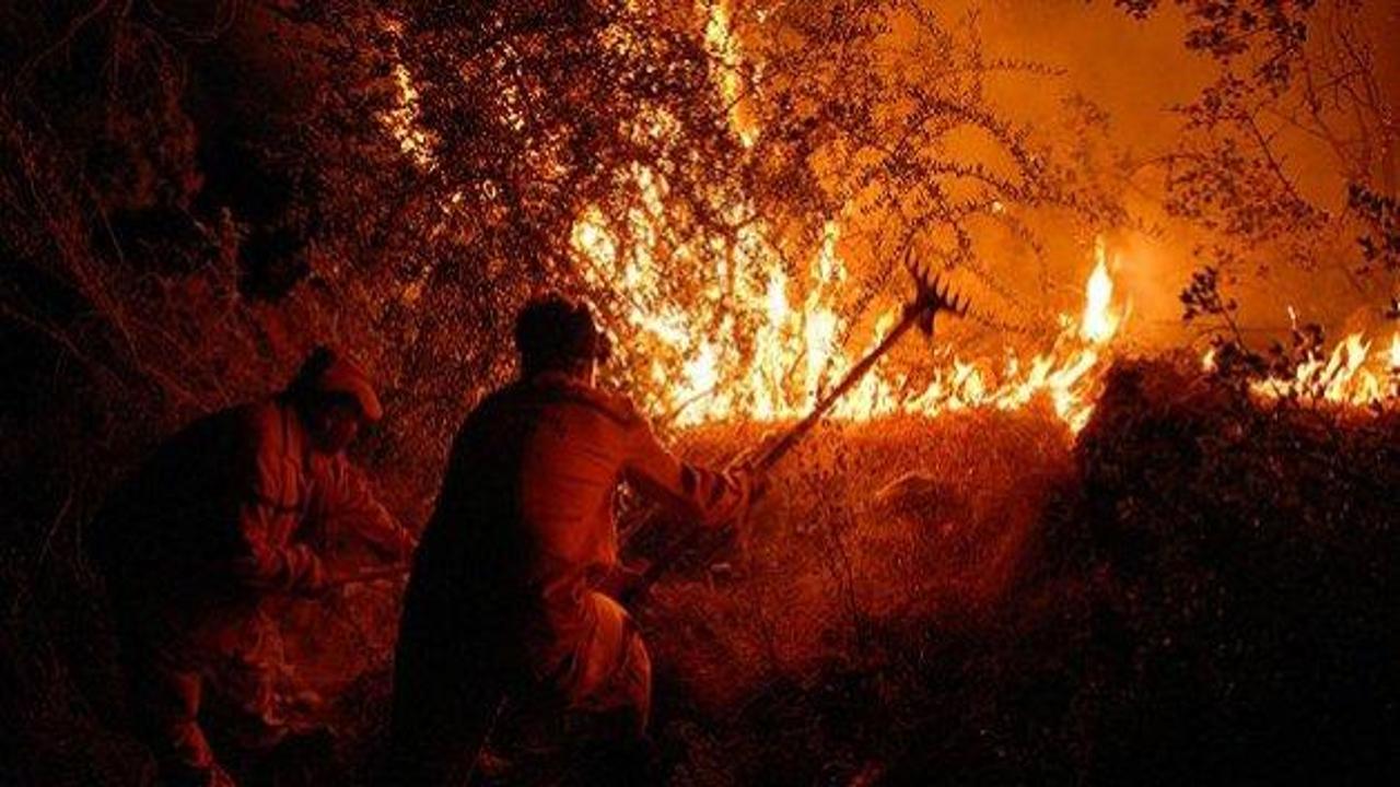 Milas'ta orman yangını!