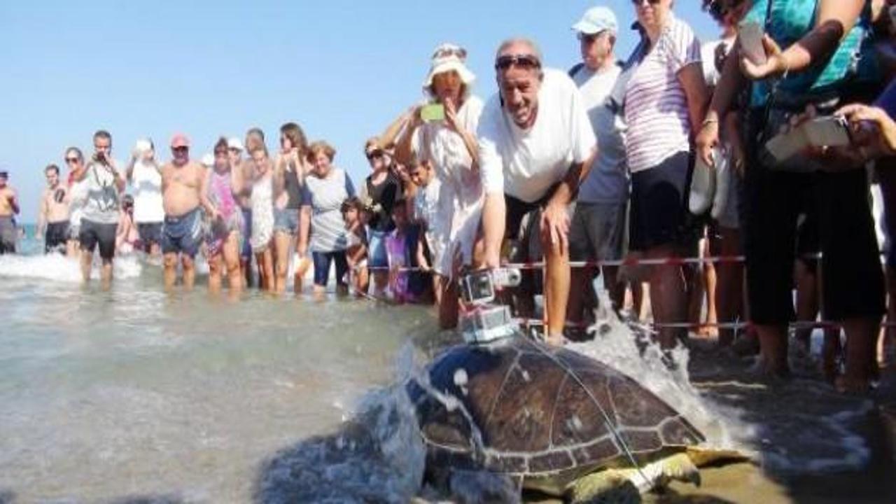 Misina kurbanı kaplumbağalar denizle buluştu