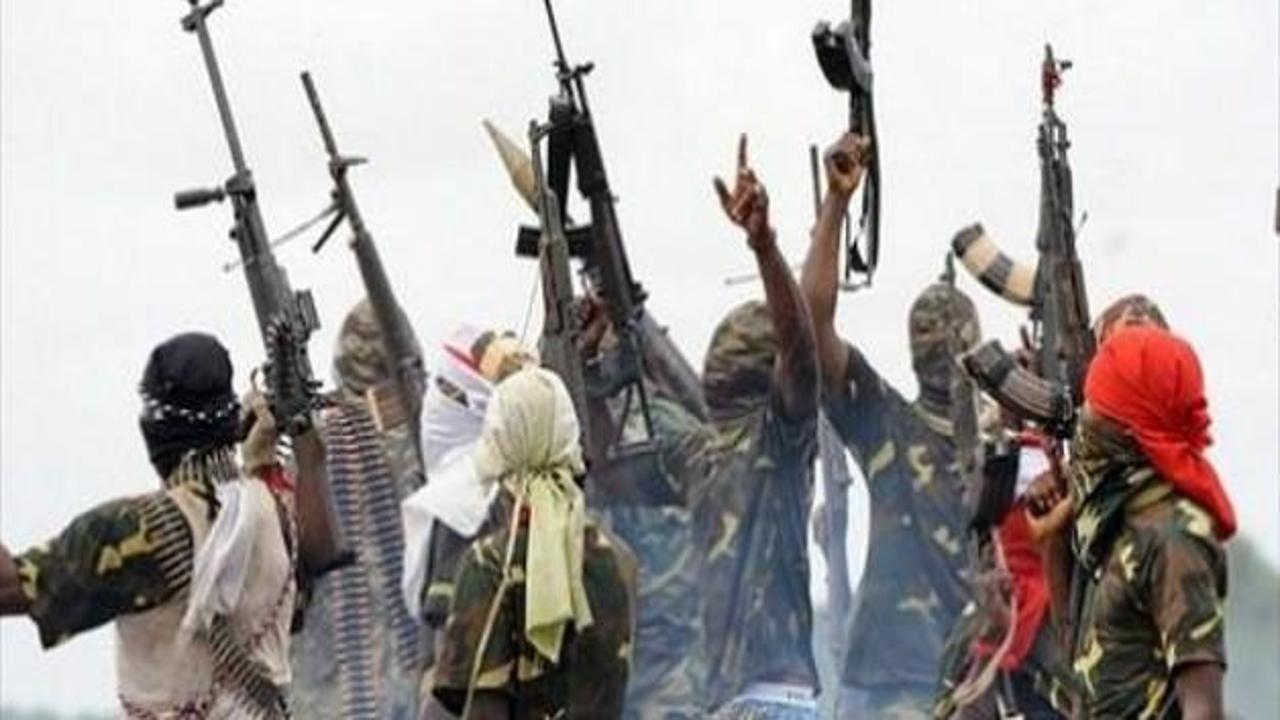 Nijer'de Boko Haram'a ağır darbe