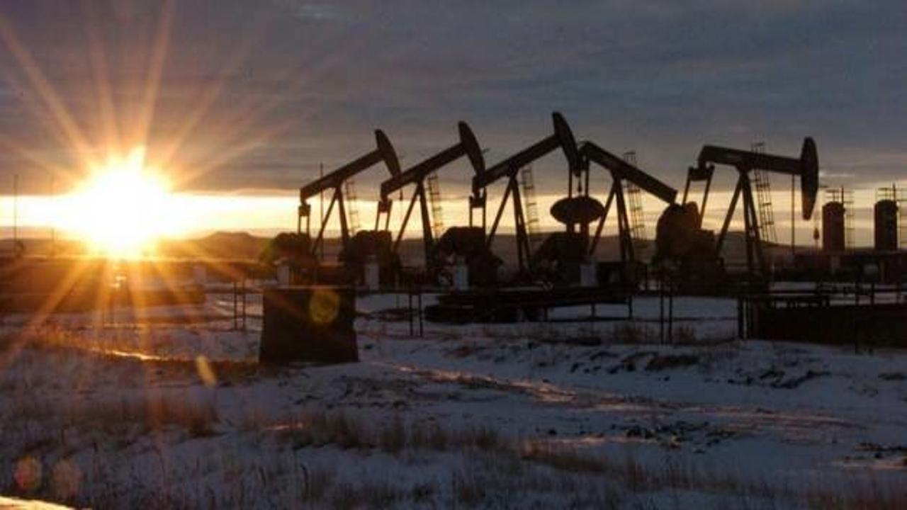 OPEC: Petrolü spekülasyonlar düşürdü