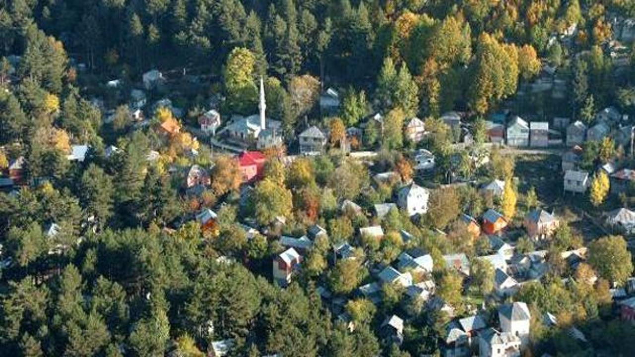 Orman arazilerindeki evlere kiralama imkanı