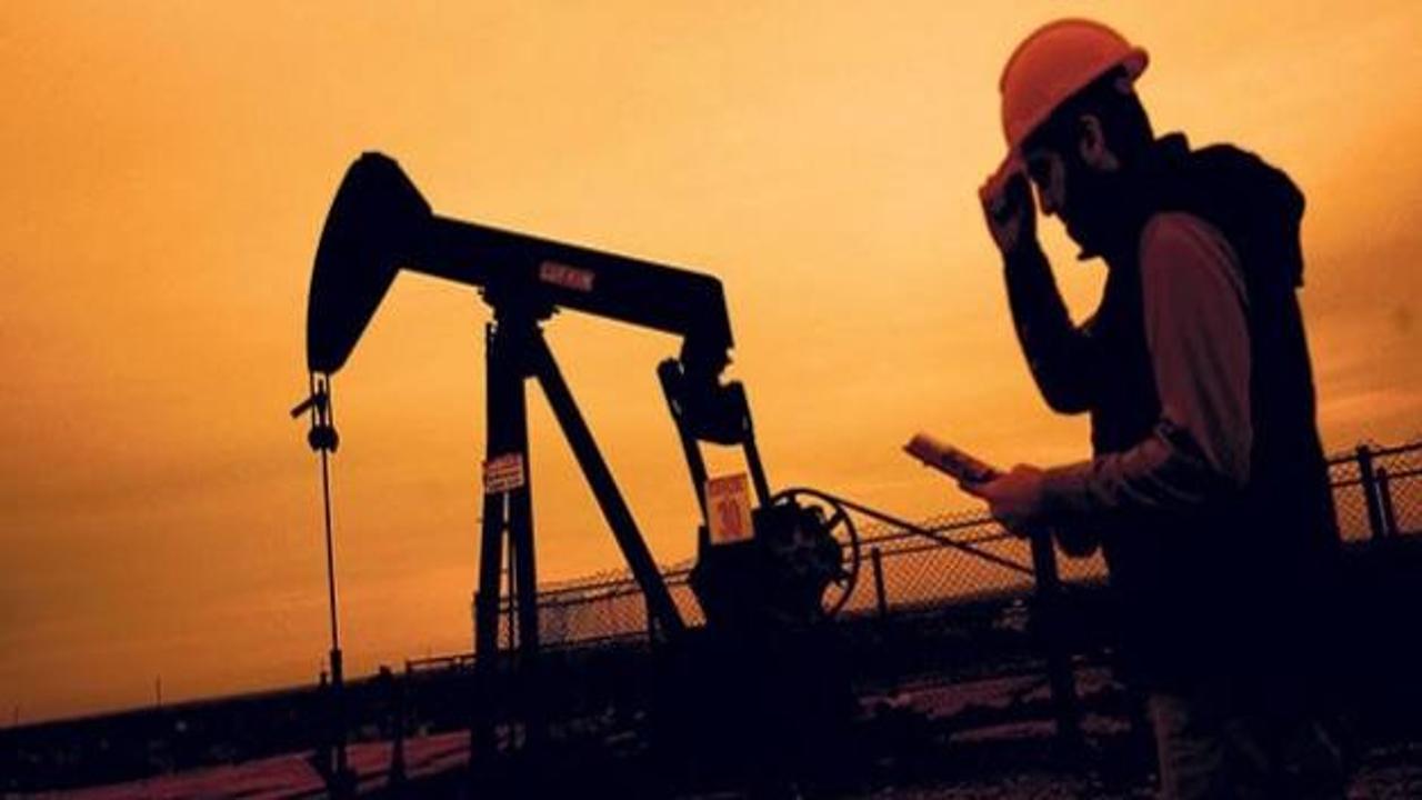 Petrol ve doğalgaza 1,4 milyar lira ödenek