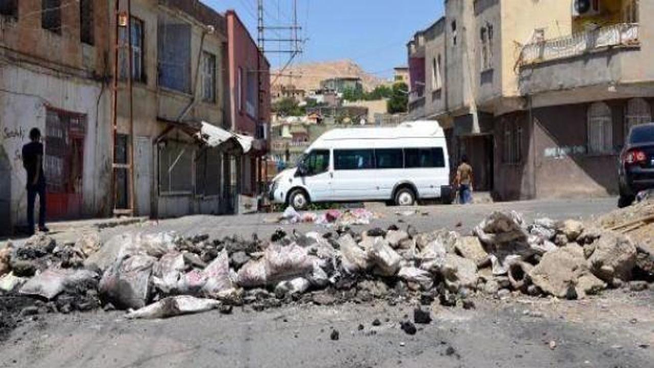 PKK açtı, belediye 100'ünü ihaleye çıkardı