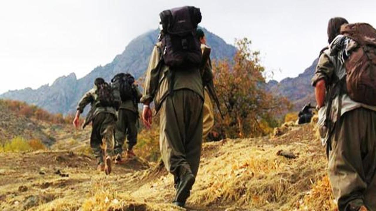 PKK'nın Batı'dan ve akillerden yardım yakarışları