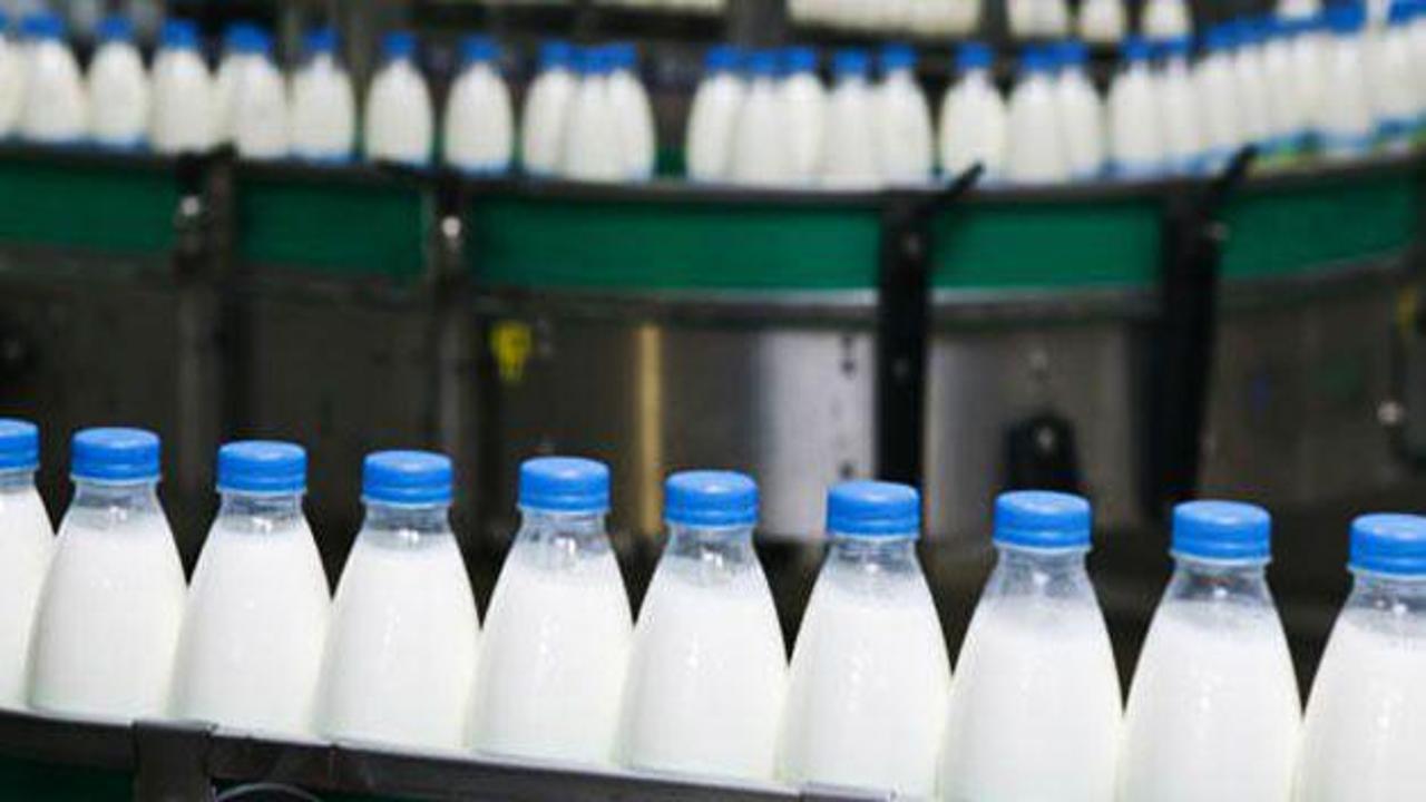 Rusya'ya ilk süt ihracatı ay sonunda