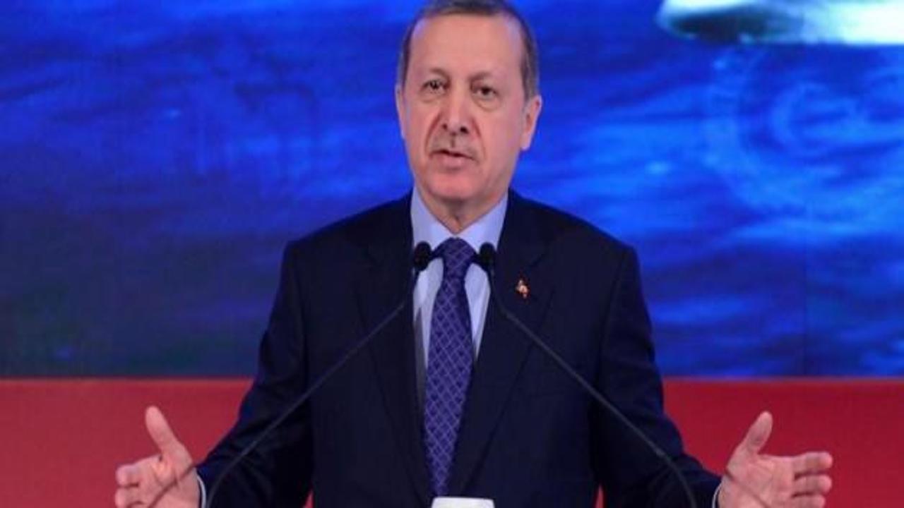 Cumhurbaşkanı Erdoğan, Erman Ilıcak'a ödül verdi