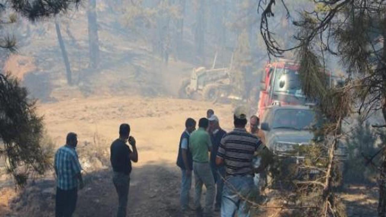 Saimbeyli'de 170 hektar kızıl&ccedil;am zarar g&ouml;rd&uuml;